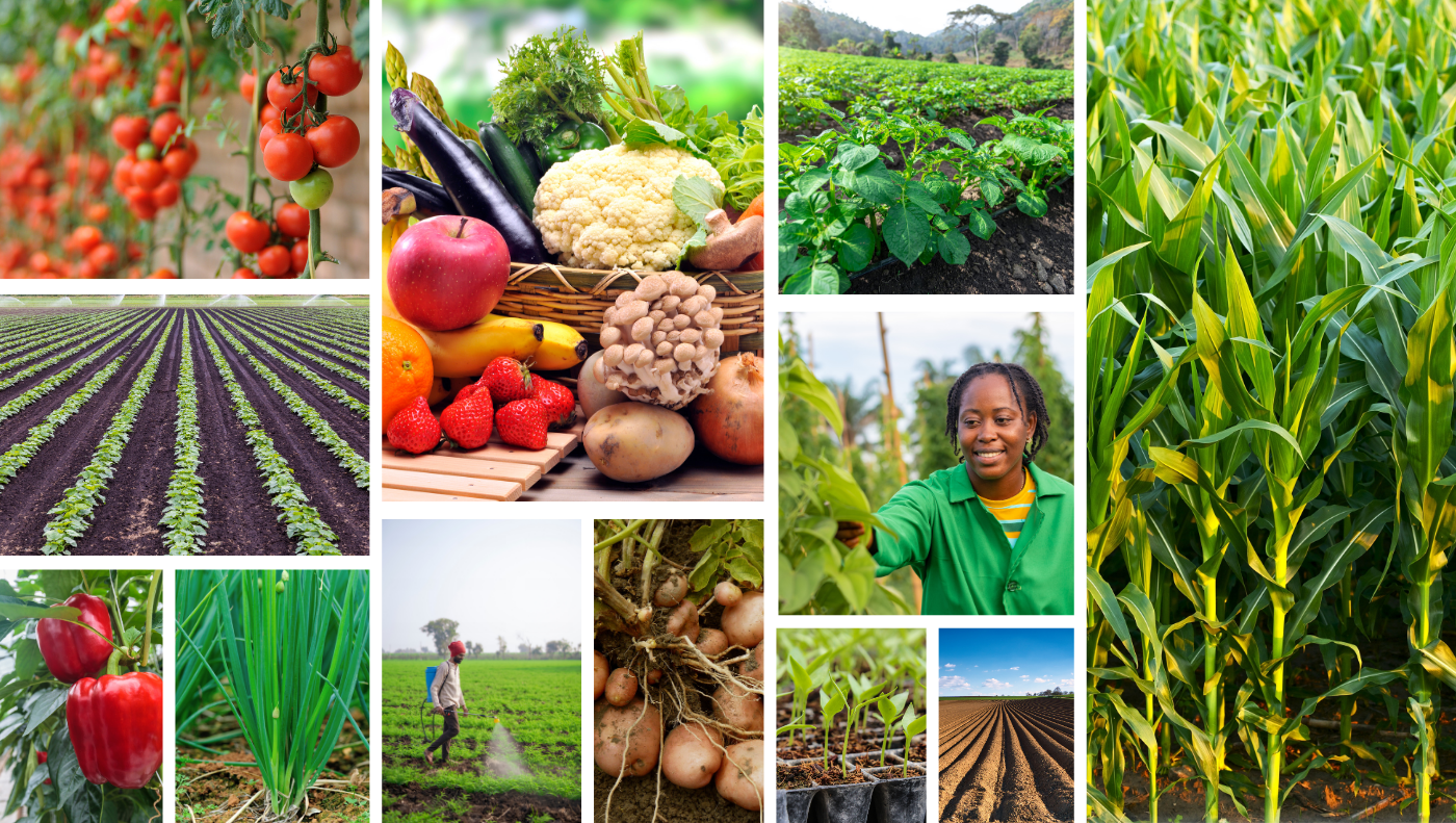 ABI Organic Agriculture